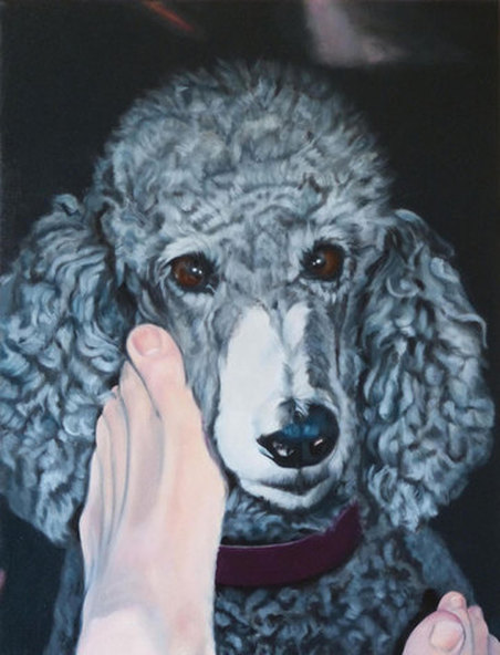Portrait painting of a well groomed silver Poodle.  