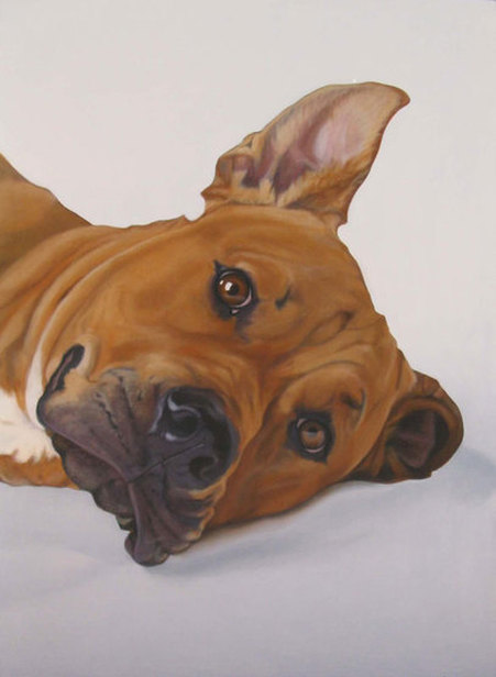  Painting of face of Rumi,  A large Rhodesian Ridgeback mix lies on his left side.